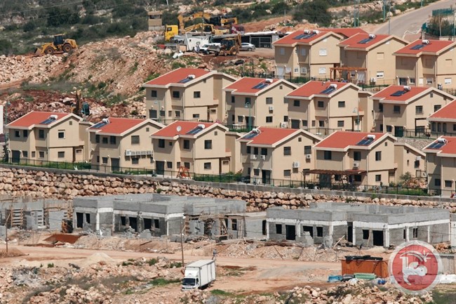 asentamiento israeli