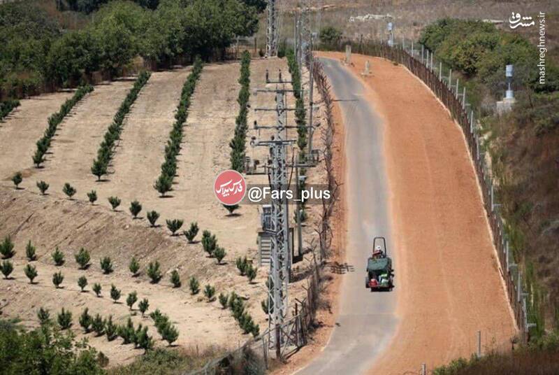 frontera -libano