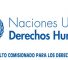 comisionado-derechos-humanos-onu