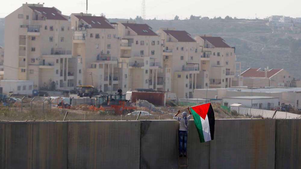 palestino-bandera-muro-separacion