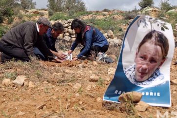 Palestinos plantan un olivo en el sitio del asesinato de Rachel Corrie
