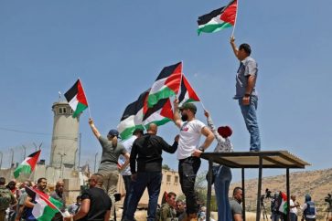 palestinos-banderas