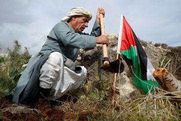 campesino-palestino-coloca-bandera
