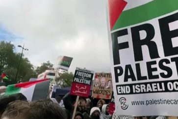 free-palestine-capturajpg