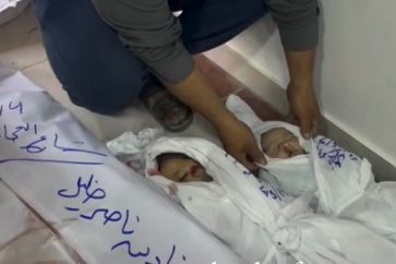 bebes-muertos-gaza