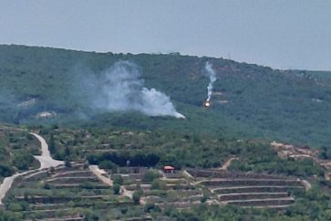 beit-leef