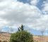bekaa