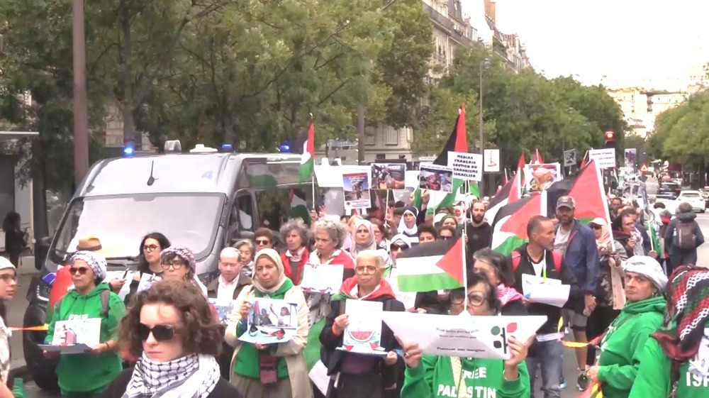manifestacion-paris-gaza