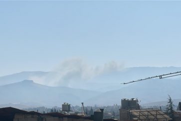 bekaa