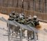 soldados-israelies-sur-siria